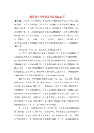报关员个人年度工作总结怎么写