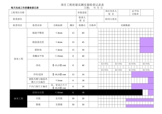 抹灰项目工程质量实测实量检查记录表