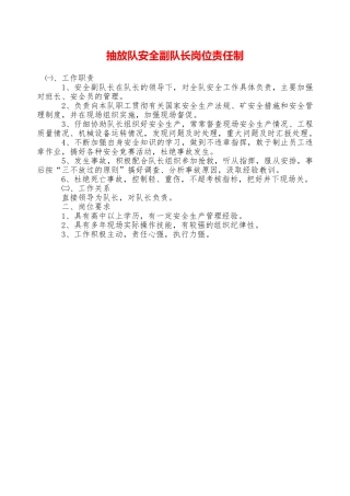 抽放队安全副队长岗位责任制——精品资料