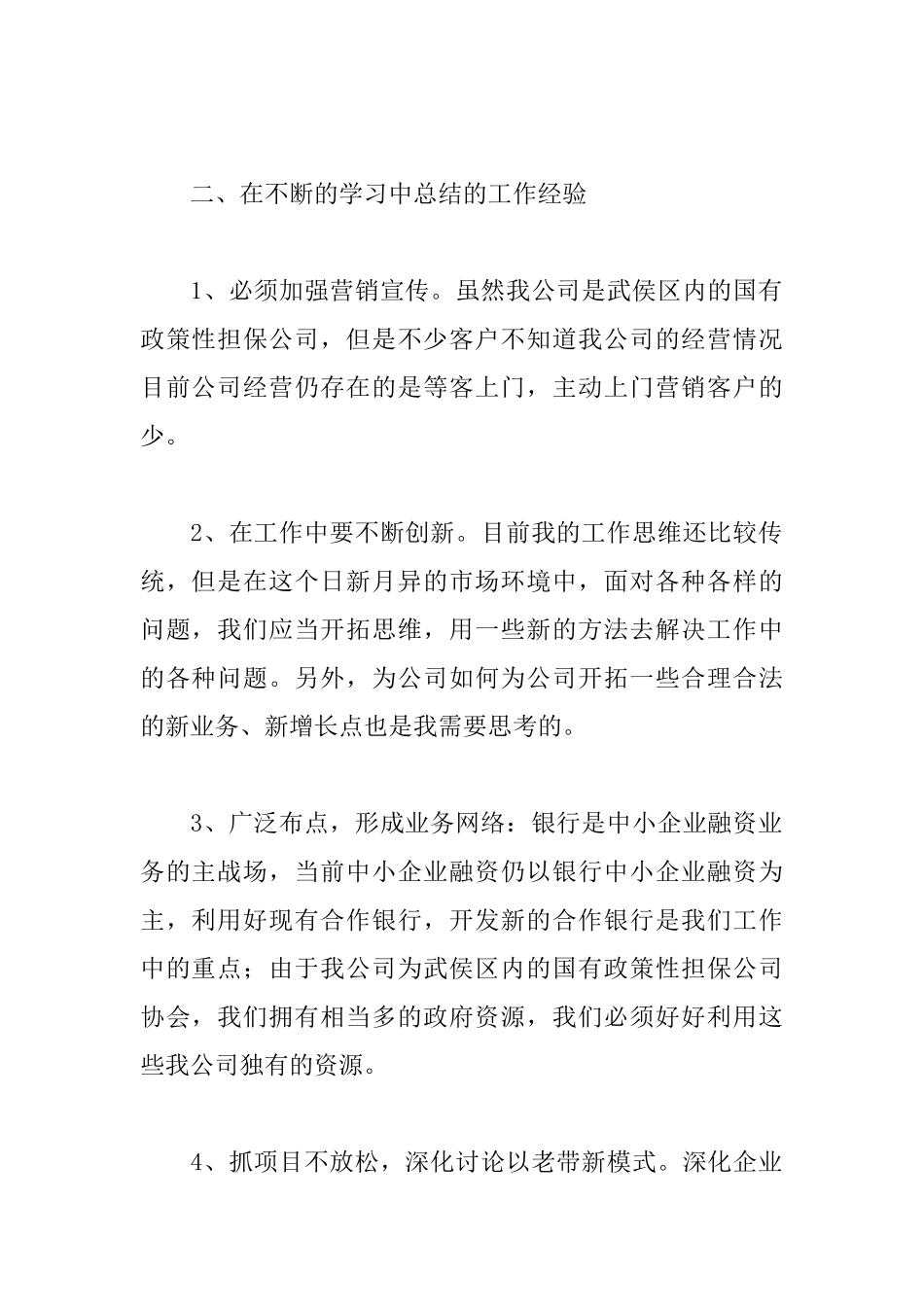 担保公司个人工作总结范文_第2页