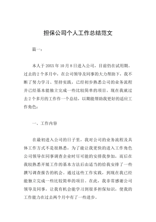 担保公司个人工作总结范文