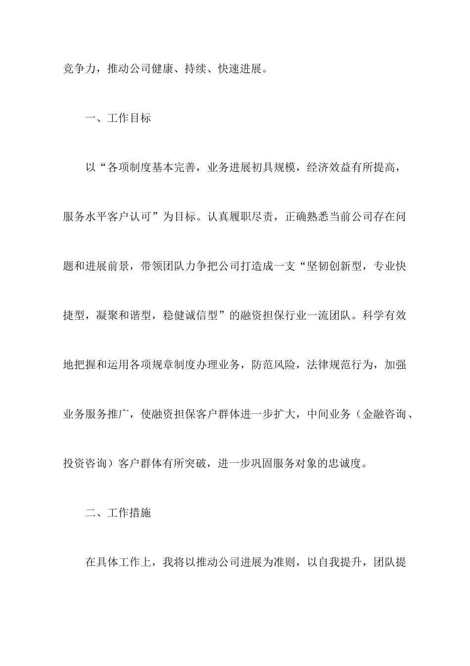 担保公司个人的工作计划_第2页