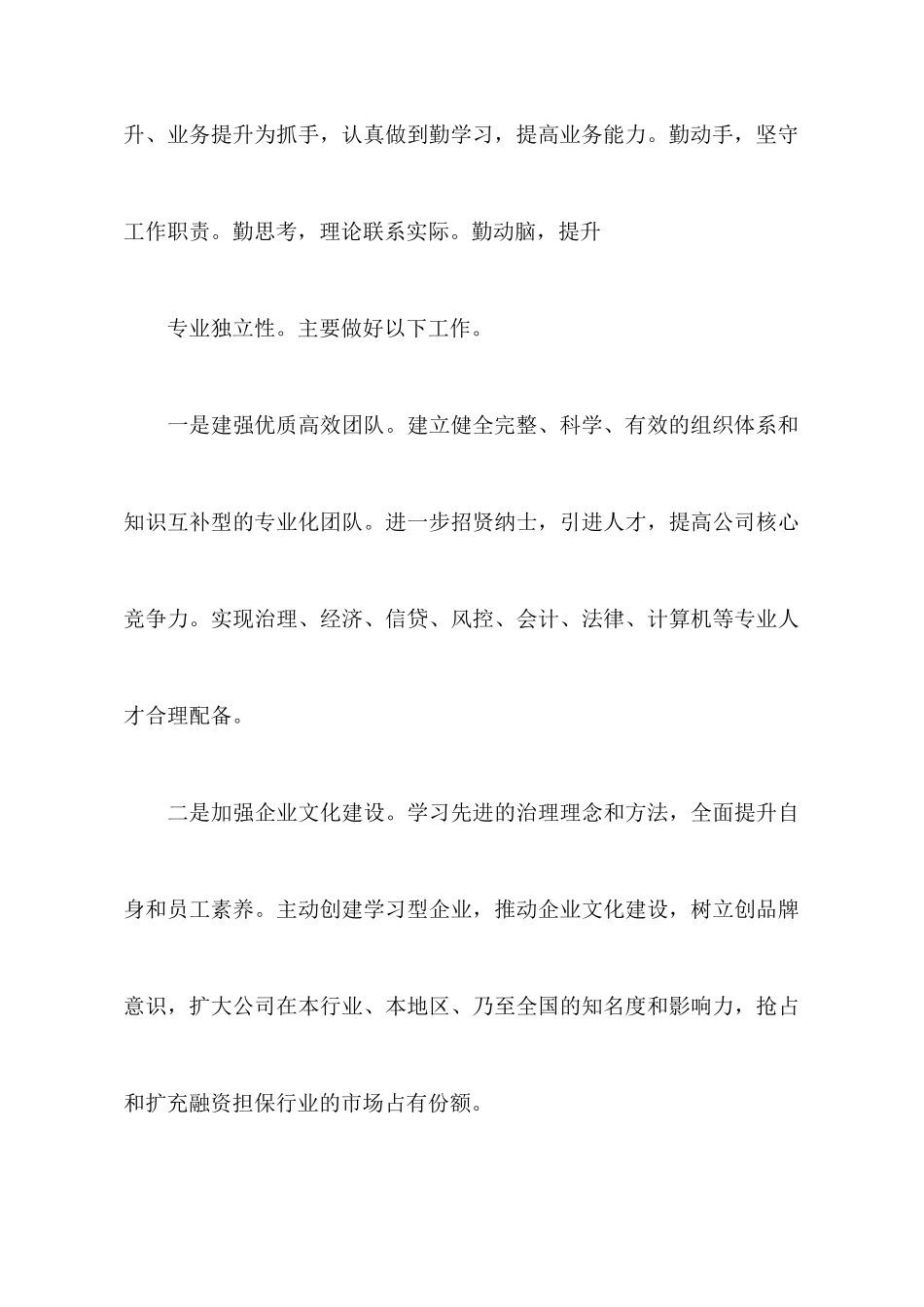 担保公司个人的工作计划_第3页