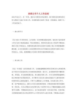 担保公司个人工作总结