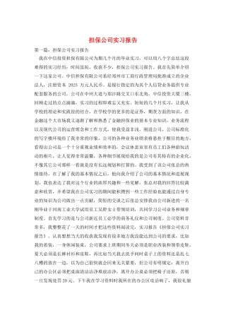 担保公司实习报告