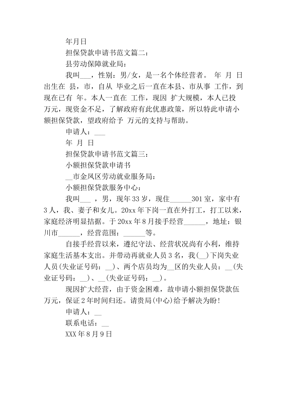 担保贷款申请书范文_第2页