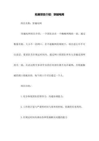 拓展项目介绍：穿越电网