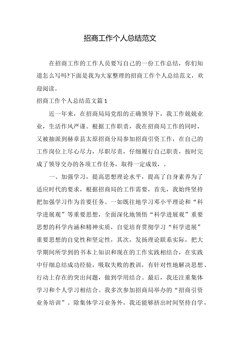 招商工作个人总结范文_第1页