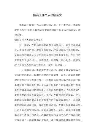 招商工作个人总结范文