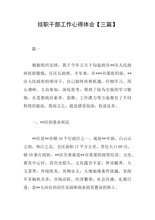 挂职干部工作心得体会