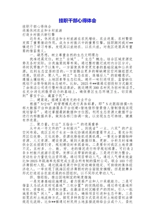 挂职干部心得体会