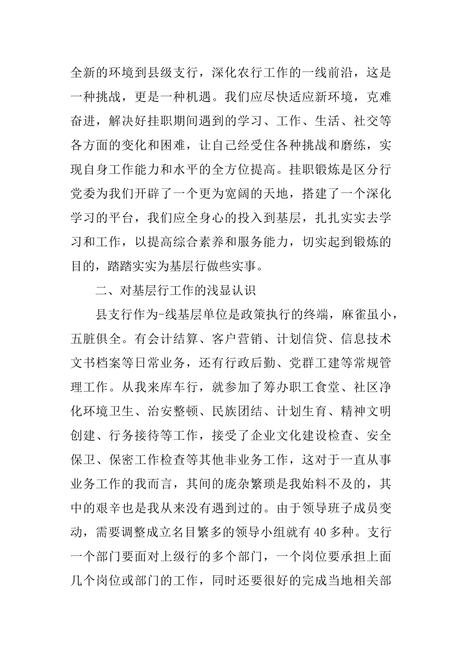 挂职锻炼的心得体会范文_第2页