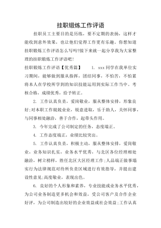 挂职锻炼工作评语