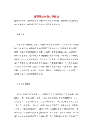 挂职锻炼实践心得体会