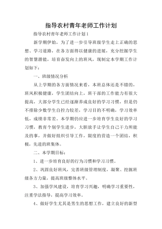 指导农村青年教师工作计划