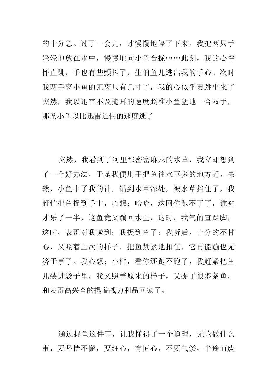 捉鱼的乐趣初二日记500字_第2页