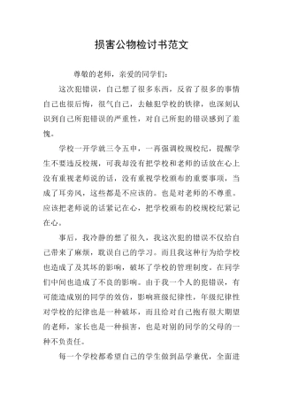 损害公物检讨书范文