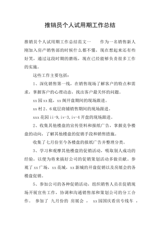 推销员个人试用期工作总结