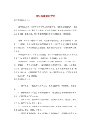 描写荷花的比喻句