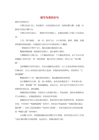 描写鸟类的好句