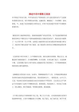描述牛的中篇散文阅读
