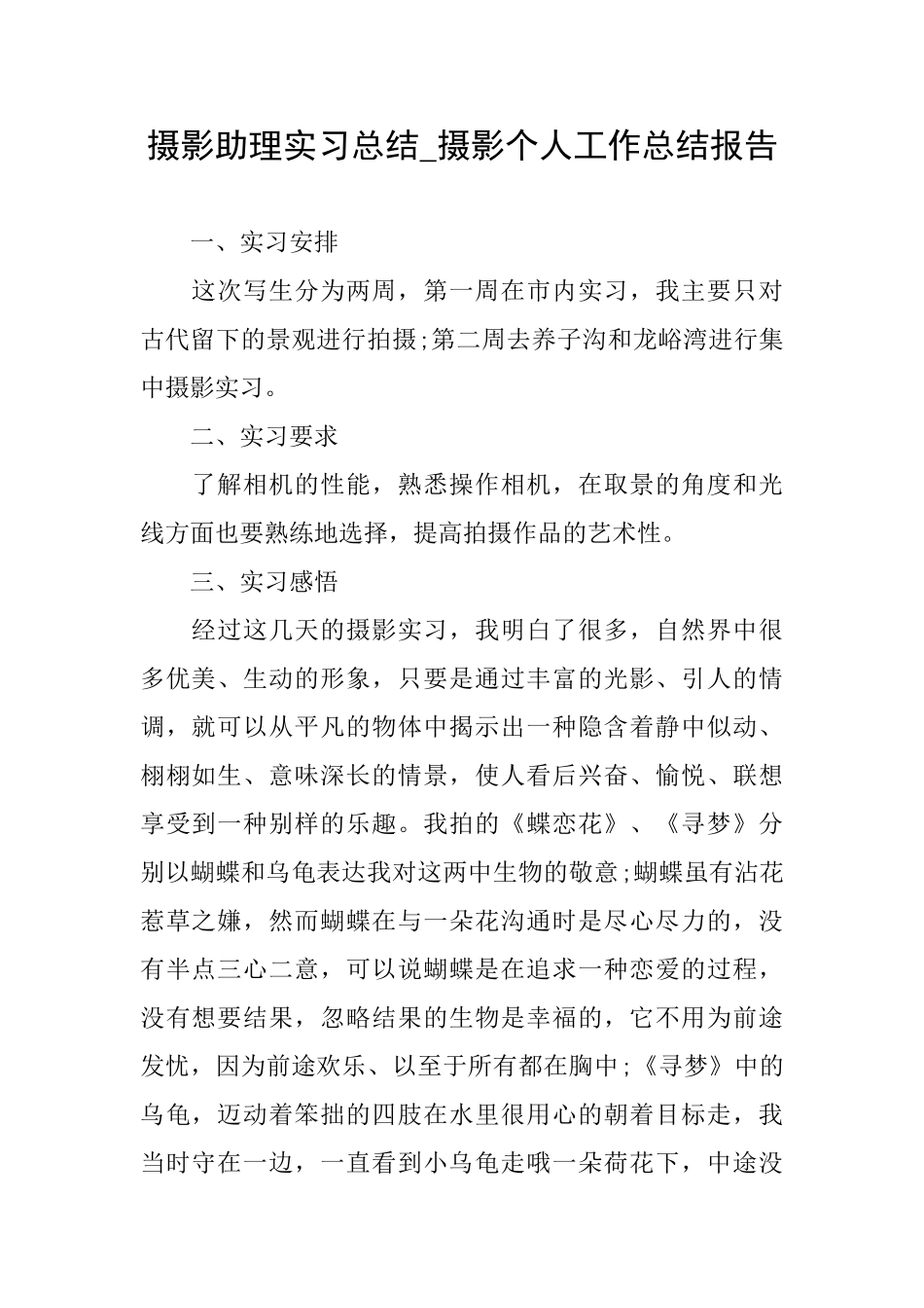 摄影助理实习总结摄影个人工作总结报告_第1页