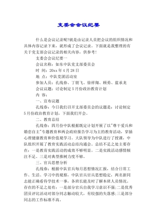 支委会会议纪要