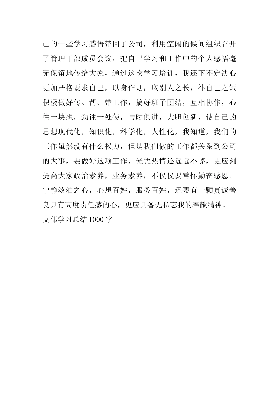 支部学习总结1000字_第3页