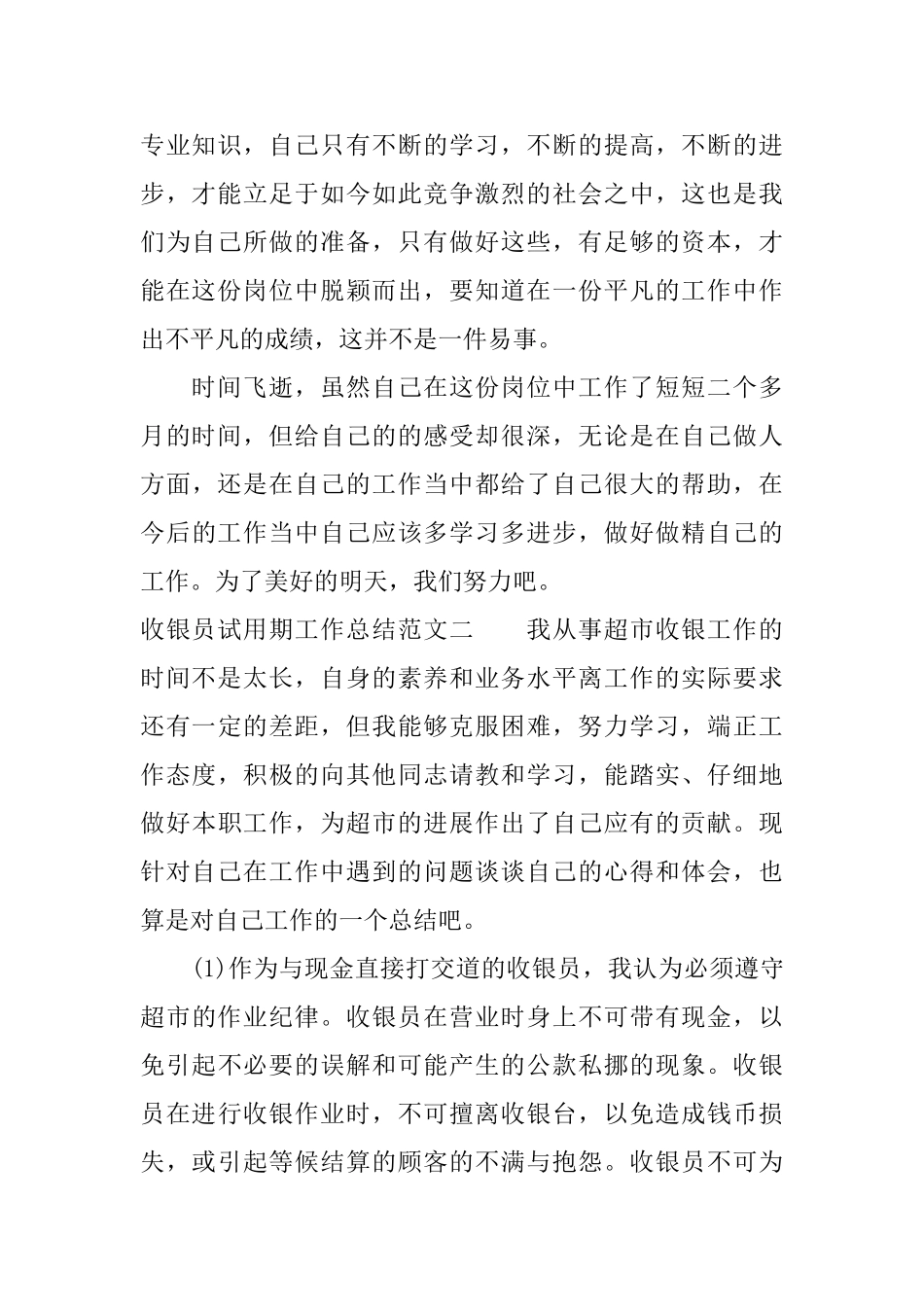 收银员试用期工作总结_第3页