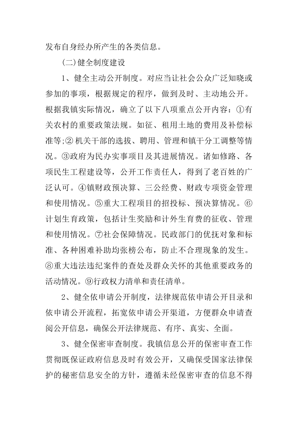 政务公开工作自查报告_第2页