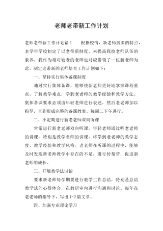 教师老带新工作计划