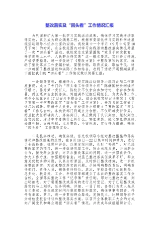 整改落实及“回头看”工作情况汇报