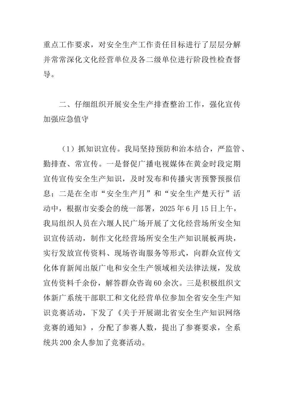 文体新广局2025年安全生产工作总结_第2页