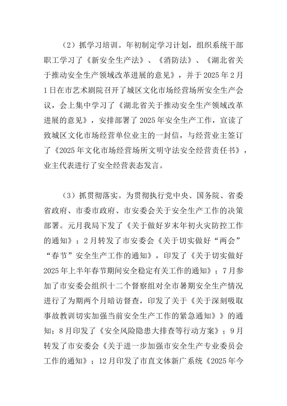 文体新广局2025年安全生产工作总结_第3页