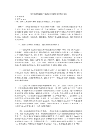 文体旅游局2025年度法治政府建设工作情况报告
