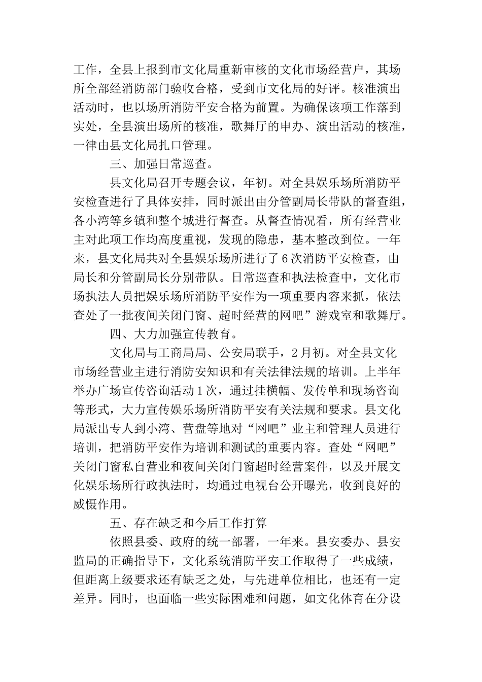 文化局后勤工作总结_第2页