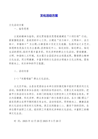 文化活动方案