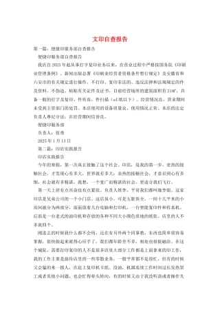 文印自查报告
