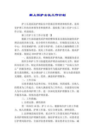 新上任护士长工作计划