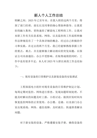 新人个人工作总结