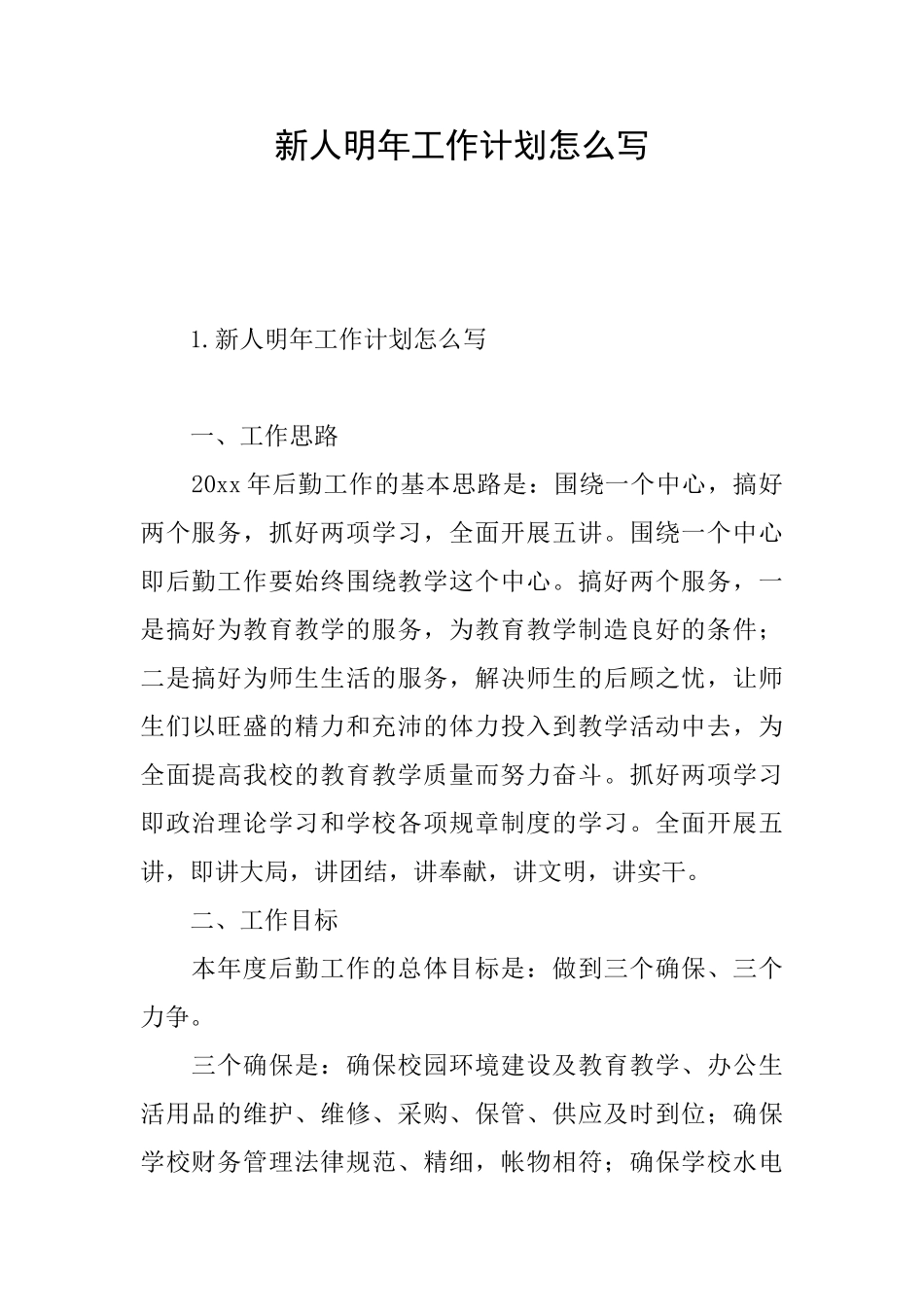 新人明年工作计划怎么写_第1页
