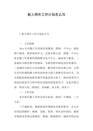 新人明年工作计划怎么写
