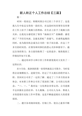 新人转正个人工作总结