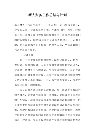 新人财务工作总结与计划