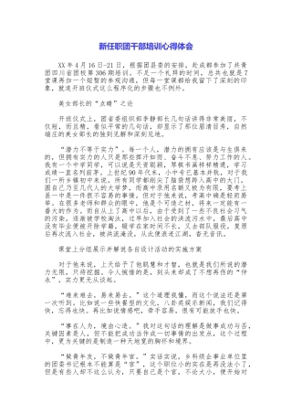 新任职团干部培训心得体会