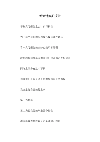 新会计实习报告