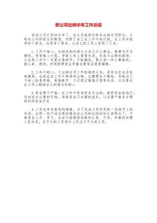 新公司出纳半年工作总结