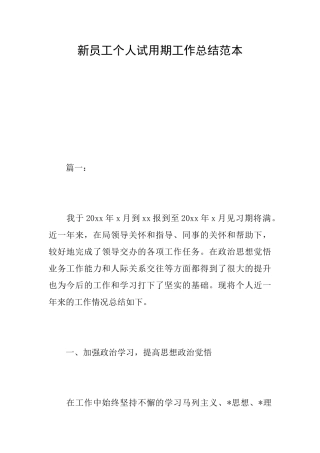 新员工个人试用期工作总结范本