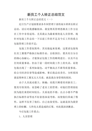 新员工个人转正总结范文
