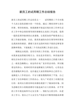 新员工的试用期工作总结报告